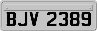 BJV2389
