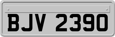 BJV2390