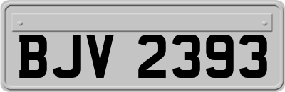 BJV2393