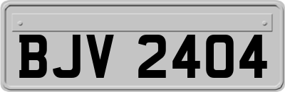 BJV2404