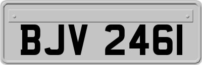 BJV2461