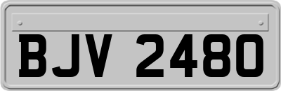 BJV2480