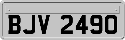 BJV2490