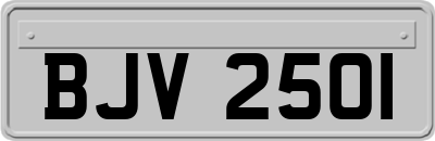 BJV2501