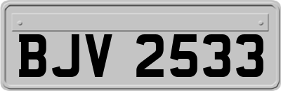 BJV2533