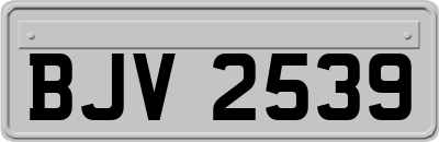 BJV2539