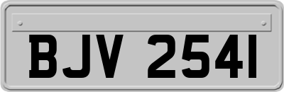 BJV2541