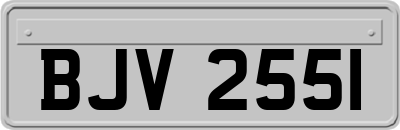 BJV2551