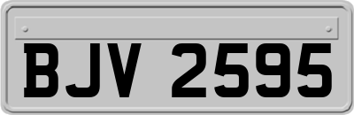BJV2595