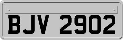 BJV2902