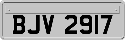 BJV2917
