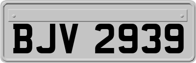 BJV2939