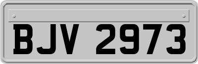 BJV2973