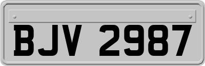 BJV2987