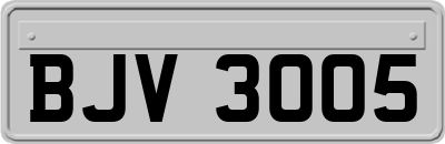 BJV3005