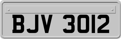 BJV3012