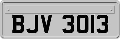 BJV3013