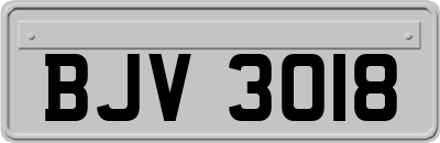 BJV3018