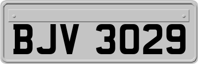 BJV3029