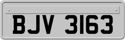 BJV3163