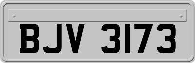 BJV3173