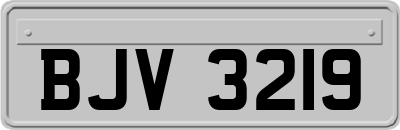 BJV3219