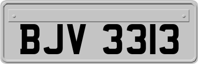 BJV3313