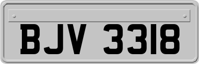 BJV3318