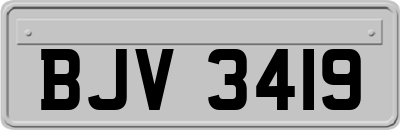 BJV3419