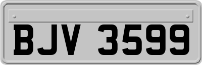 BJV3599
