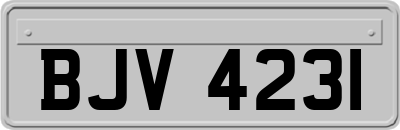 BJV4231