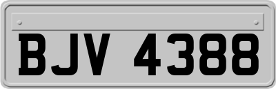 BJV4388