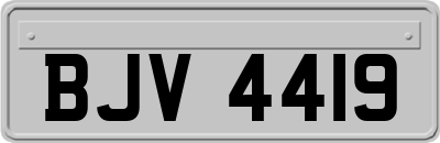 BJV4419