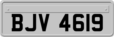 BJV4619