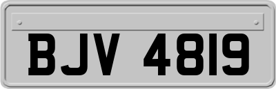 BJV4819