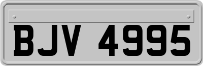 BJV4995