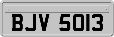 BJV5013
