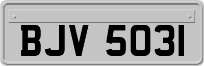 BJV5031