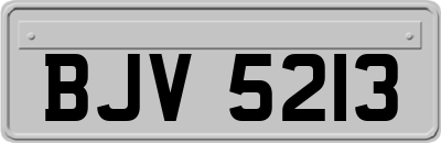 BJV5213