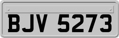 BJV5273