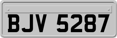 BJV5287