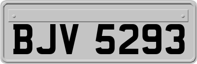 BJV5293