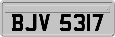 BJV5317