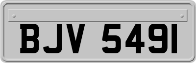 BJV5491
