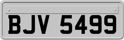 BJV5499