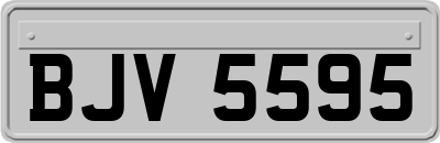 BJV5595