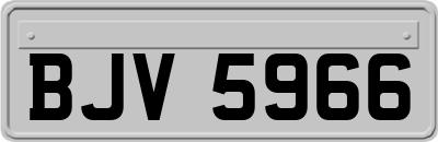 BJV5966