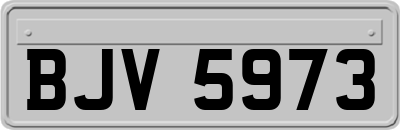 BJV5973