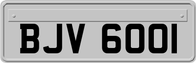 BJV6001