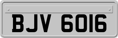 BJV6016